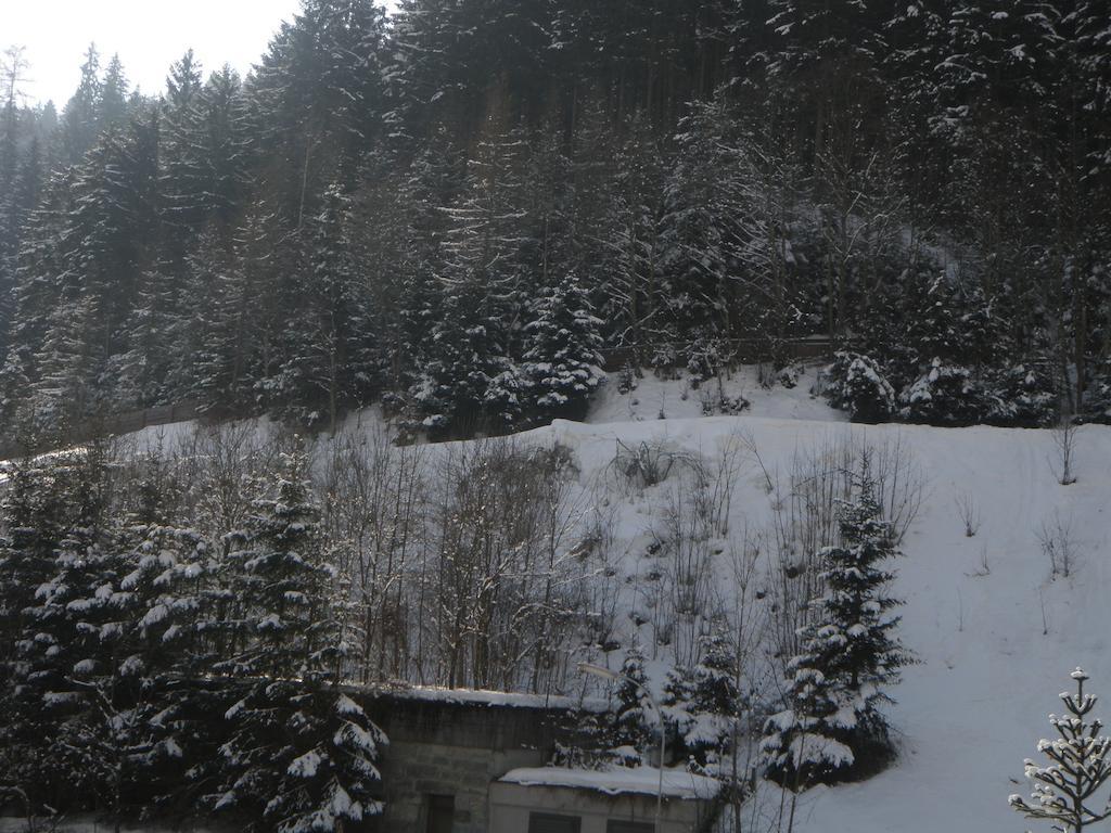 Appartement Schlosser Zell am See Buitenkant foto